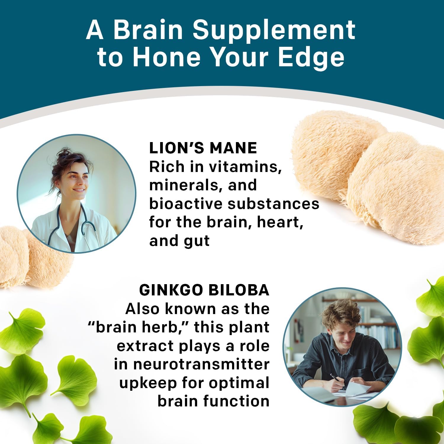 14-in-1 Lions Mane Supplement Capsules - Nootropic Brain Supplement with Ginkgo Biloba for Brain Support, Memory and Focus - Alpha GPC, L Theanine and Choline Supplements with 1300mg Per Serving