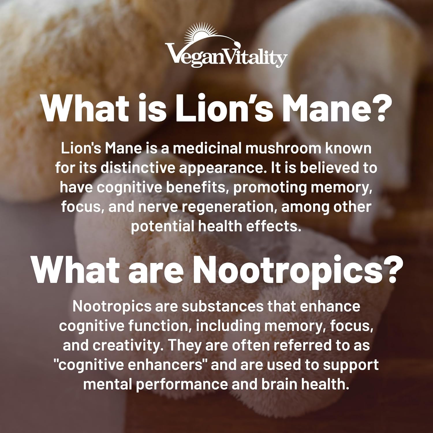 Vegan Vitality Brain Nutrition Bundle - Lions Mane Nootropic Capsules and Vegan Multivitamins. High Strength Plant-Based Supplements for Memory and Focus and Overall Health for Vegans and Vegetarians