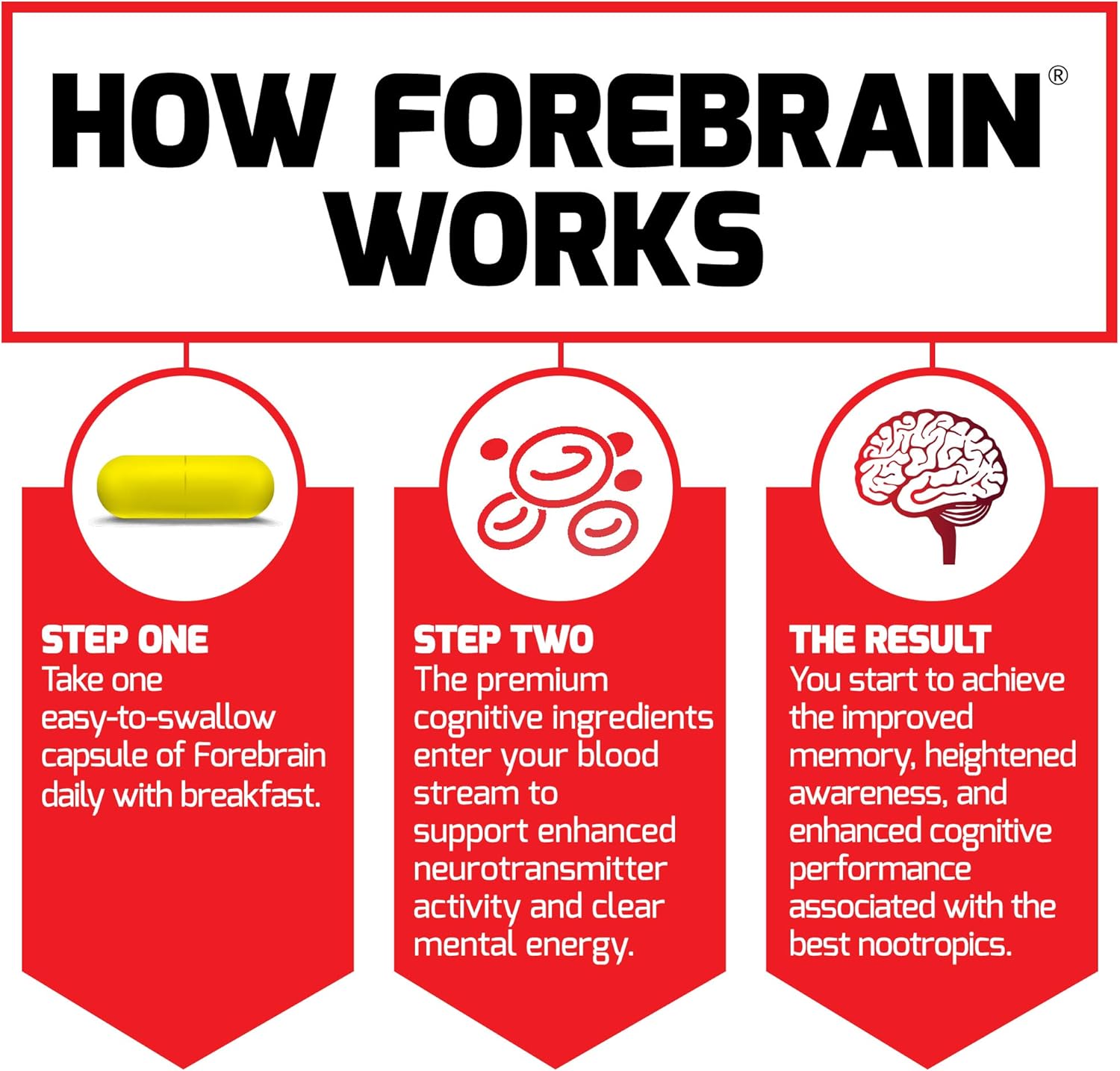 Forebrain Nootropic Brain Supplement to Improve Memory, Boost Focus, Increase Mental Energy, and Support Brain Health with Caffeine, Bacopa, and Huperzine A, Force Factor, 30 Capsules (Pack of 2)