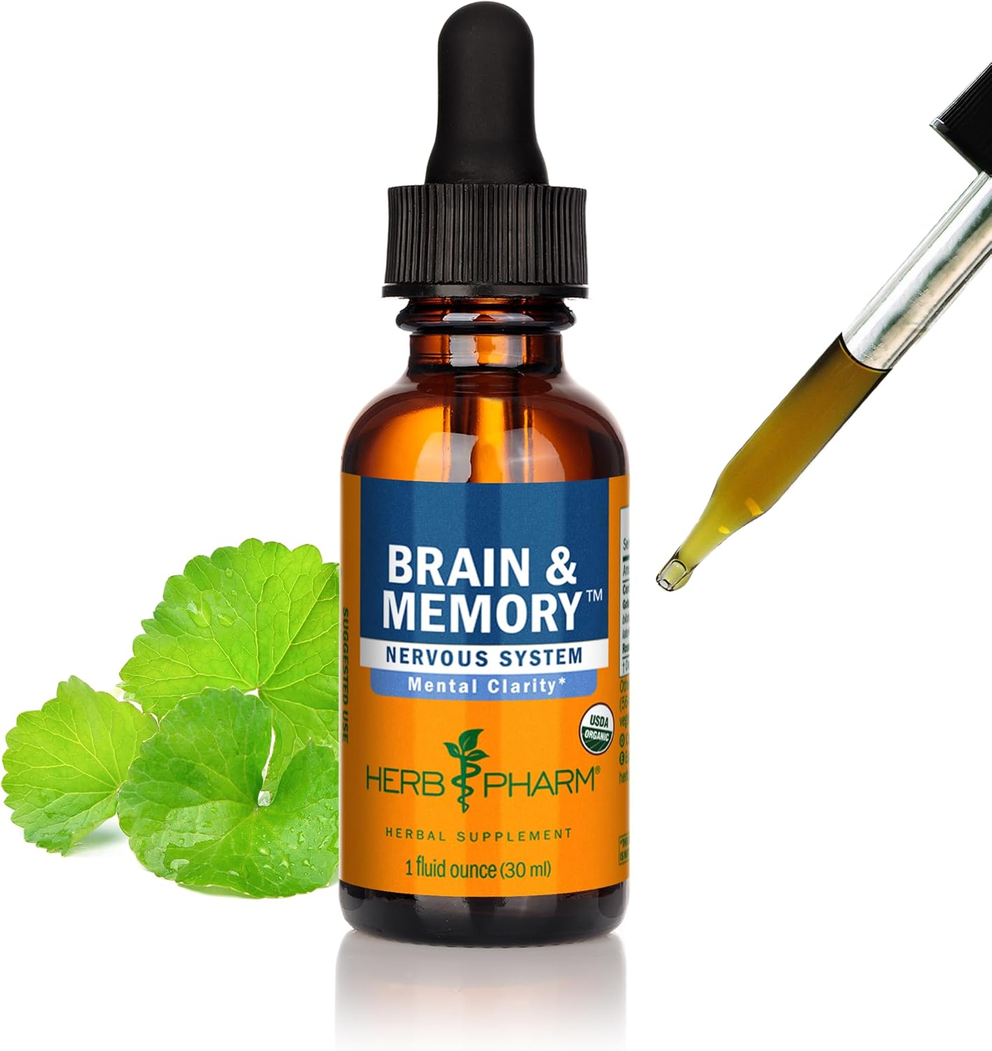 Herb Pharm Organic Nootropic Brain  Memory Supplement with Ginkgo Biloba Liquid Extract: Fast Absorption for Mental Focus Support, Ginkgo Supplement, Vegan, Gluten-Free, Non-GMO, 1 Oz