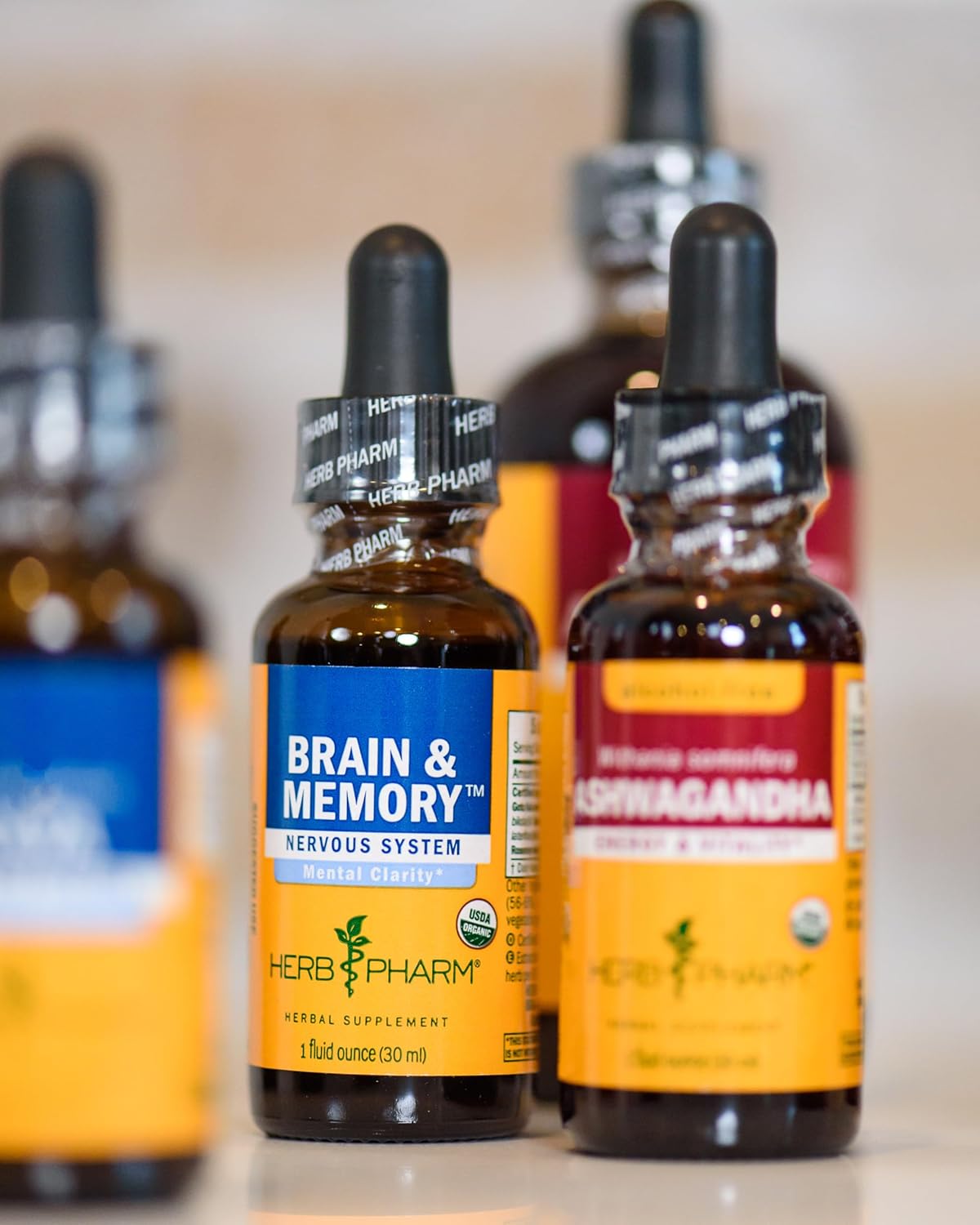 Herb Pharm Organic Nootropic Brain  Memory Supplement with Ginkgo Biloba Liquid Extract: Fast Absorption for Mental Focus Support, Ginkgo Supplement, Vegan, Gluten-Free, Non-GMO, 1 Oz