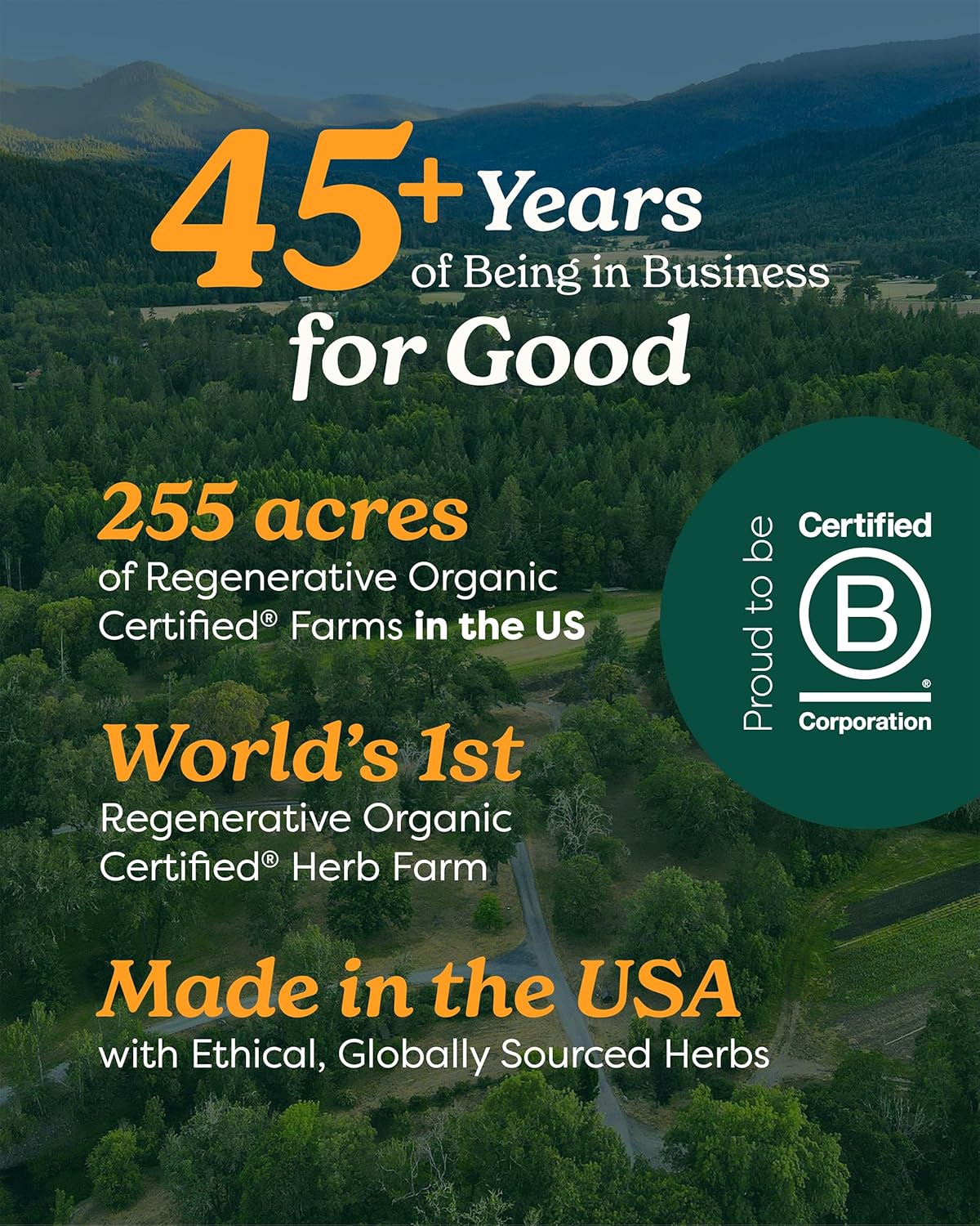 Herb Pharm Organic Nootropic Brain  Memory Supplement with Ginkgo Biloba Liquid Extract: Fast Absorption for Mental Focus Support, Ginkgo Supplement, Vegan, Gluten-Free, Non-GMO, 1 Oz