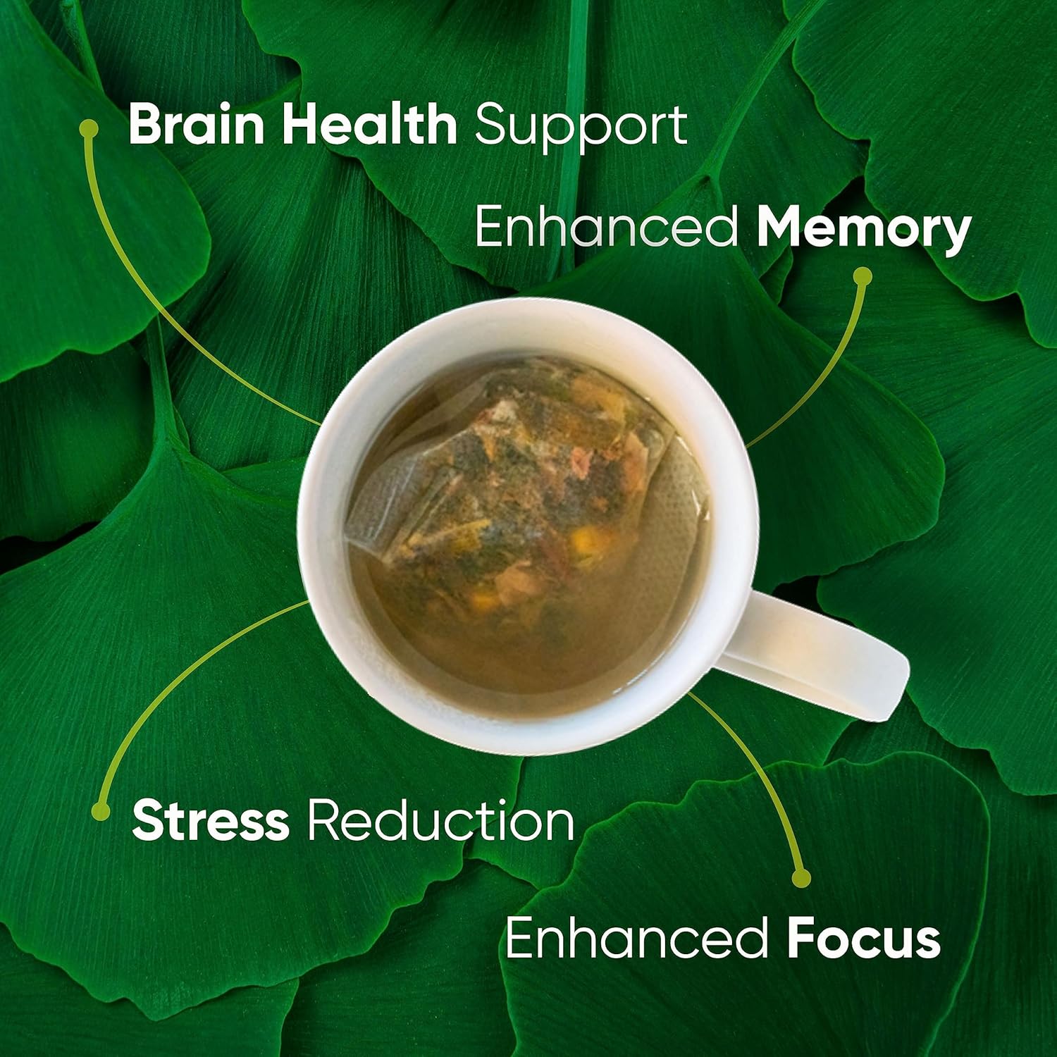 Brain Tea Focus  Memory - Organic Certified 4-in-1 Nootropic Brain Supplement with Ginkgo Biloba, Gotu Kola, Lion’s Mane Mushroom and MCT - Caffeine-Free Herbal Tea for Mental Clarity (30 Sachets)