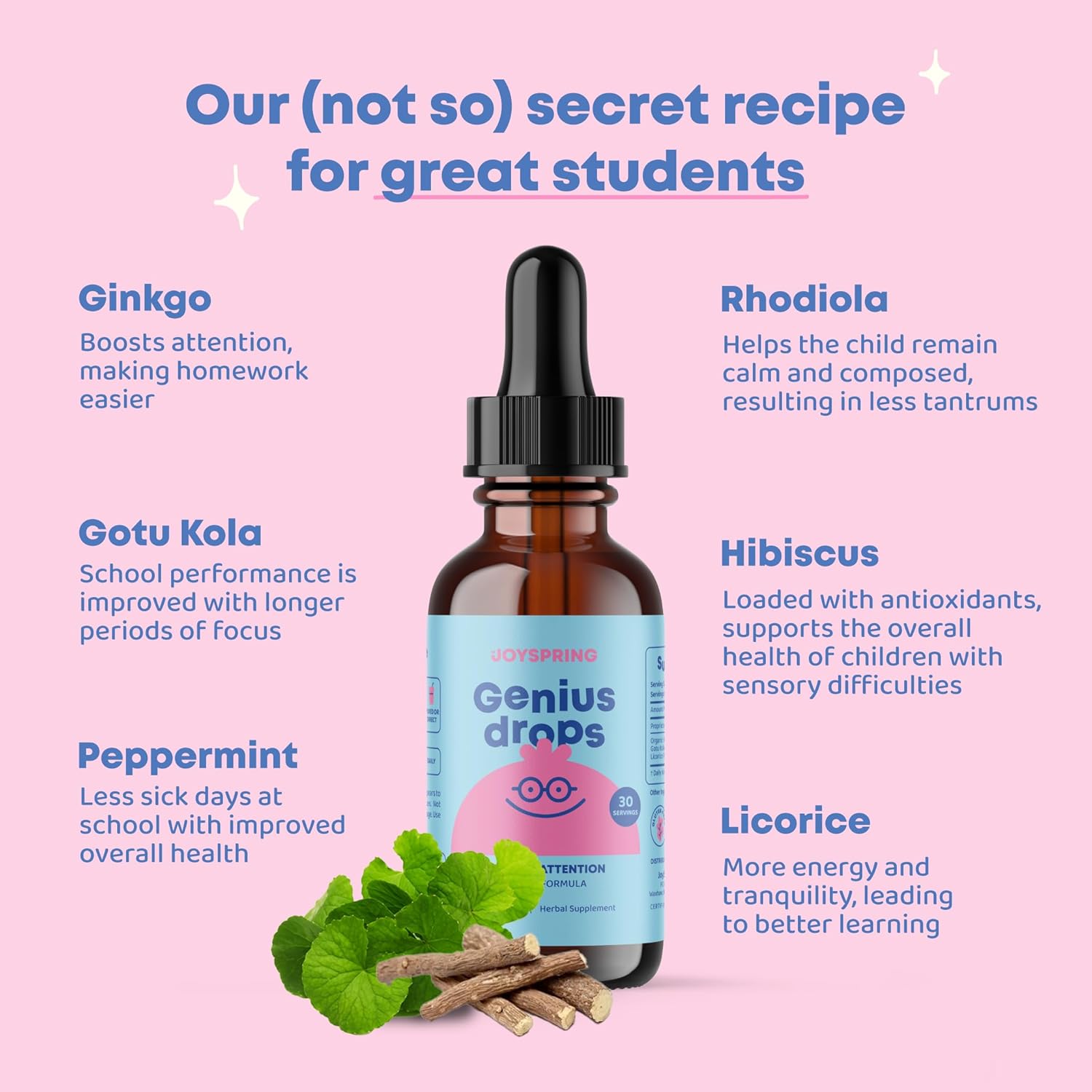 JoySpring Genius Kids Focus Gummies – Natural Herbal Brain Supplement for Kids | Vegan, Gluten-Free, Sugar-Free with Bacopa, Gotu Kola, Rhodiola – 60 Count