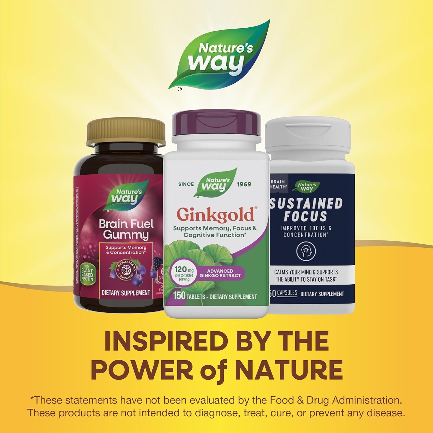 Natures Way Ginkgold Advanced Ginkgo Extract, Supplements for Support of Memory and Focus*, Ginkgo Biloba Extract, Supports Focus  Cognitive Function*, 150 Tablets (Packaging May Vary)