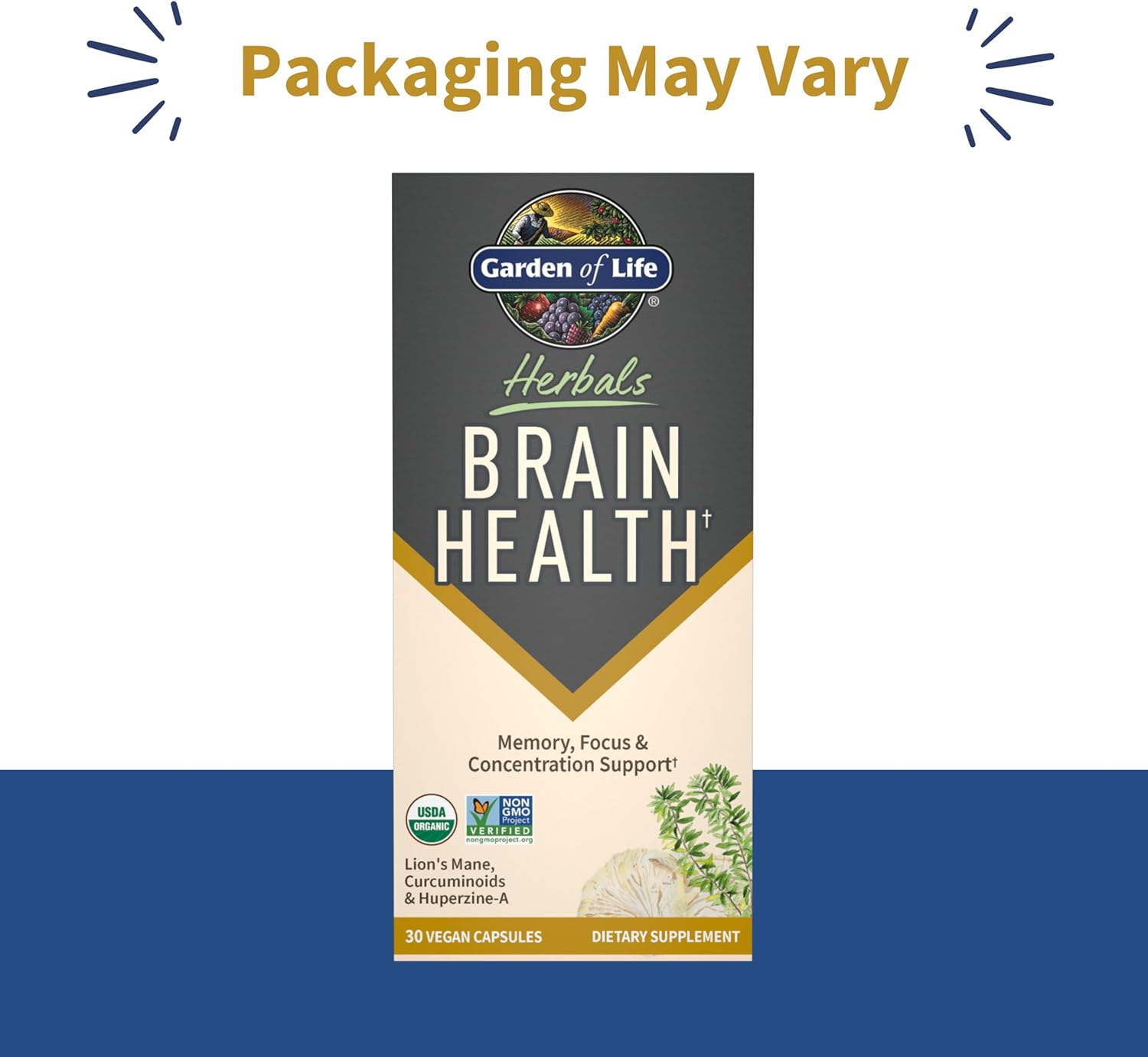 Garden of Life Brain Health Supplement with Organic Lion’s Mane  Turmeric, Non-GMO, Gluten-Free, Mint Flavor - for Memory, Focus  Healthy Brain Function