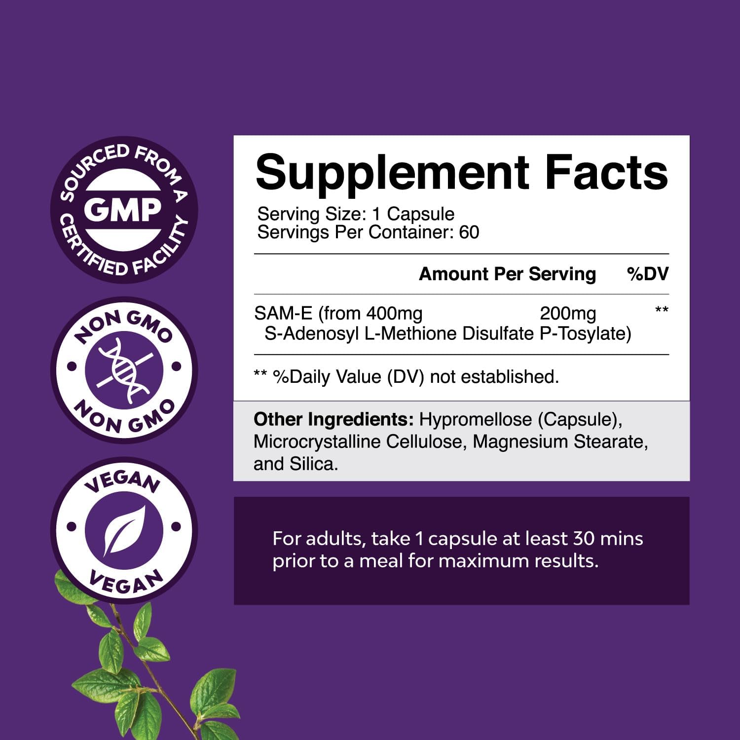 Bundle of Advanced Brain Supplement for Memory  Focus - Vitamins for Adults of All Ages and Sam-E 200mg Mood Support Supplement - S-Adenosyl Methionine for Natural Relaxing Mood Boost Brain Support