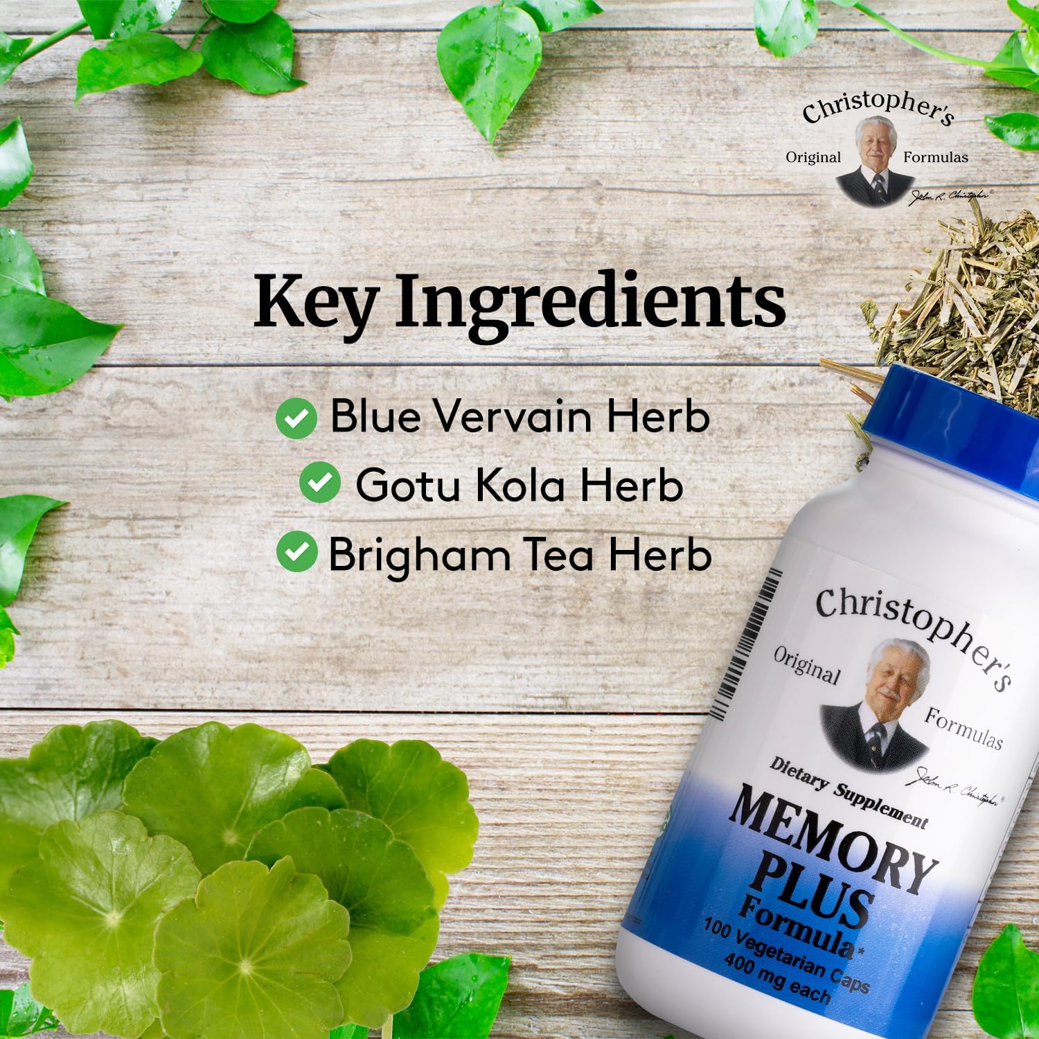 Christophers Original Formulas Memory Plus Herbal Blend - Brain Supplements for Memory  Focus - Supports Cognitive Function, Energy,  Alertness