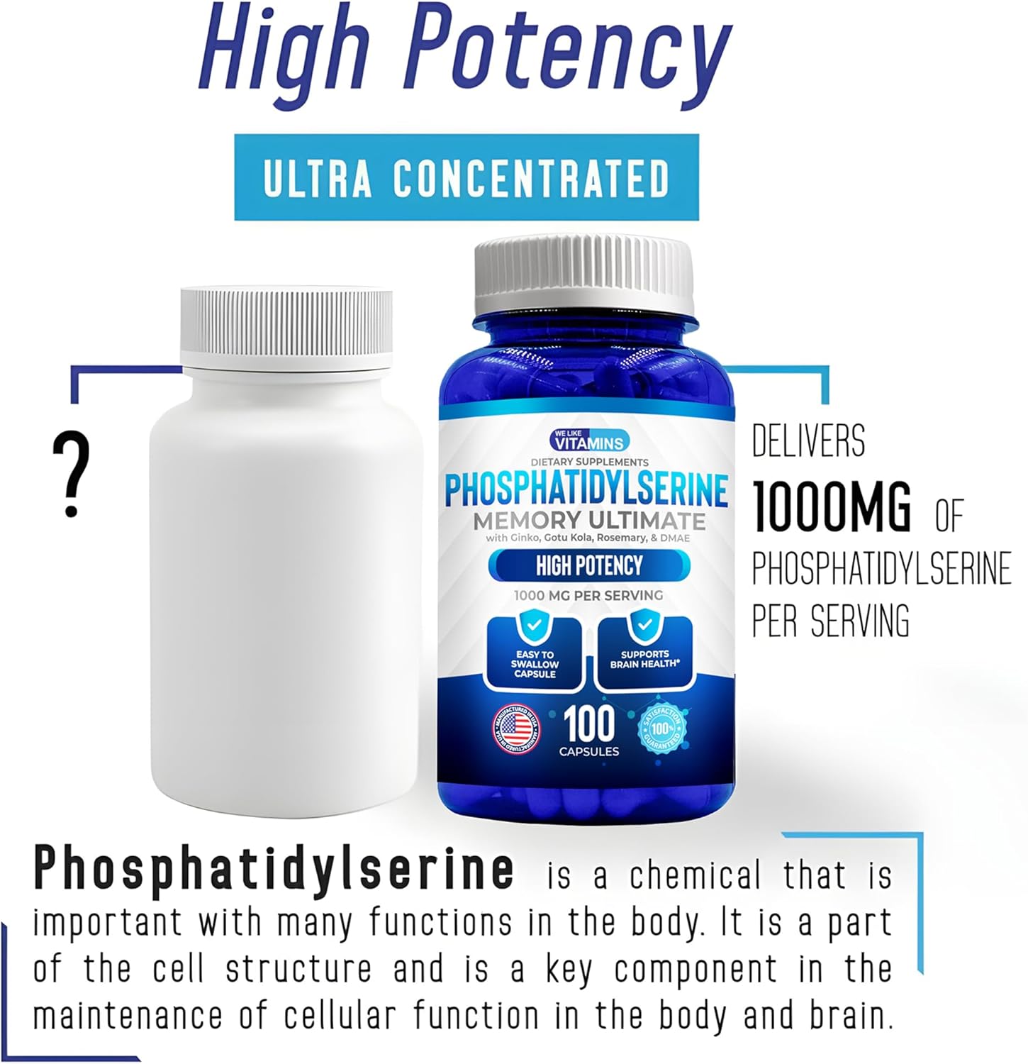 We Like Vitamins Phosphatidylserine Supplement with Gingko Biloba, Gotu Kola, DMAE - Improves Focus, Memory, Cognitive Function - Soy-Free 1000mg Memory Ultimate Complex - Easy-to-Swallow Capsules