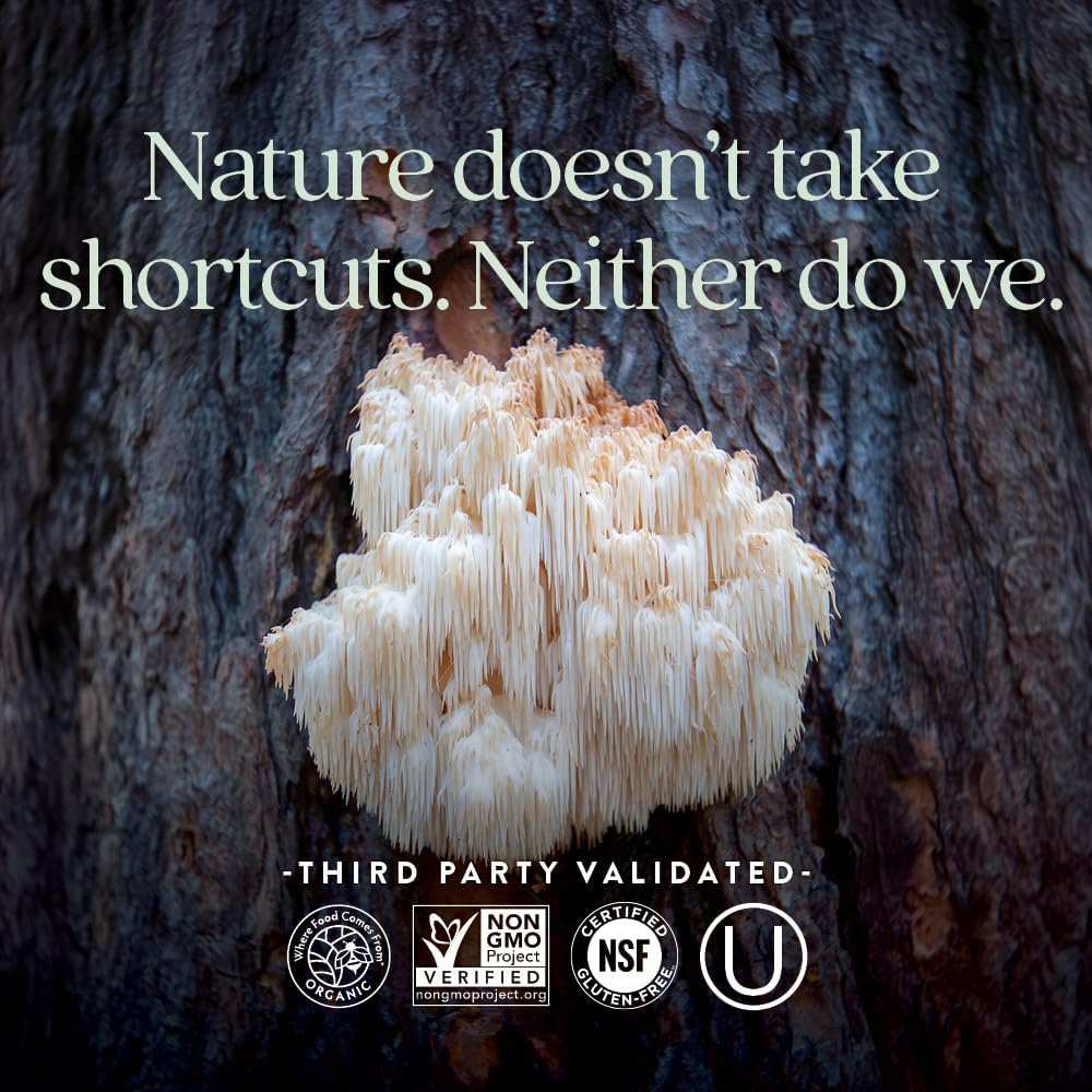 New Chapter Lion’s Mane + Reishi Mushroom – LifeShield Mind Force for Mental Clarity with Organic Reishi Mushroom + Vegan + Non-GMO, Nootropic Ingredients – 60 ct